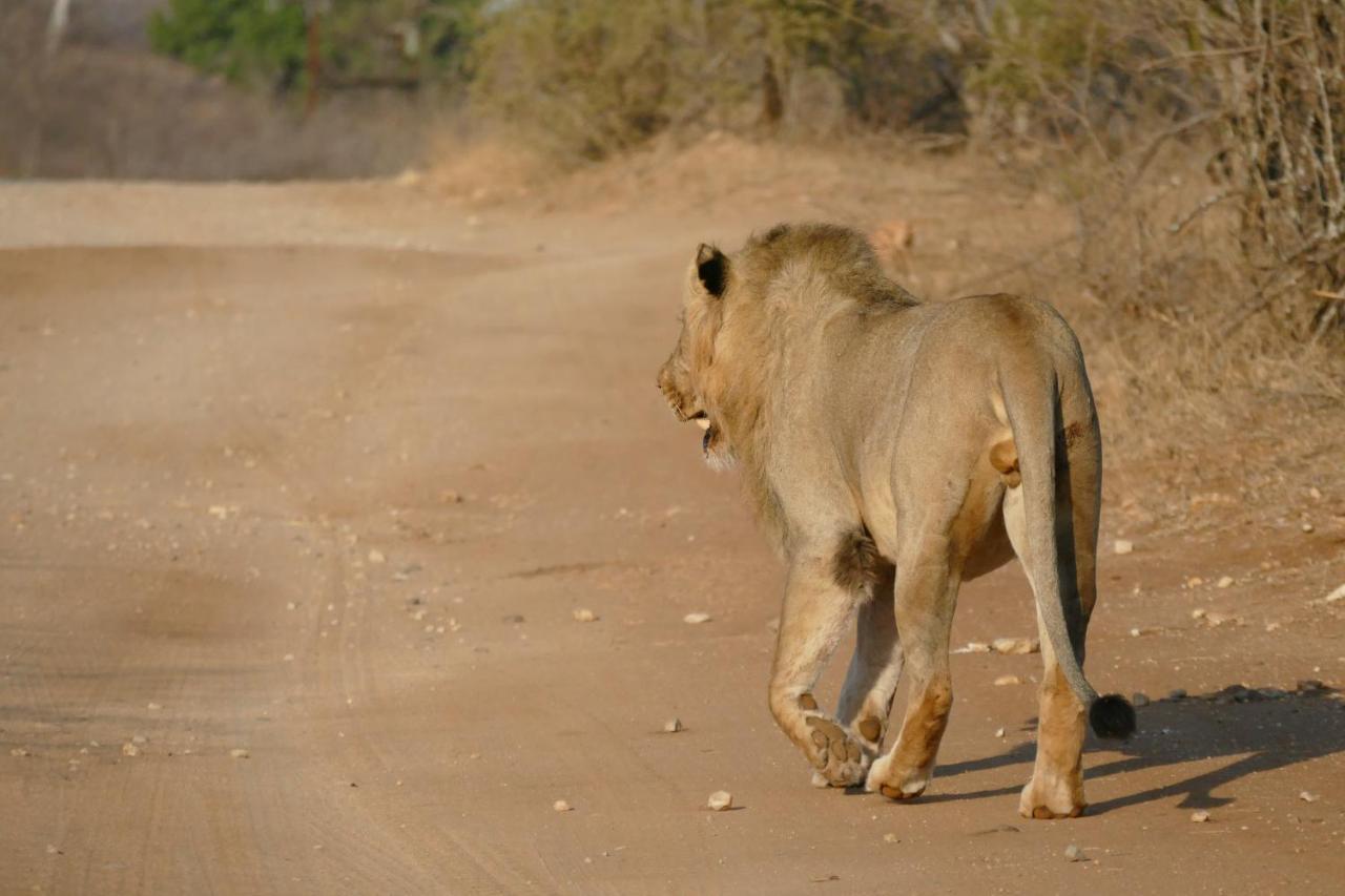 Adonsonia Lodge Grietjie Game Reserve Экстерьер фото